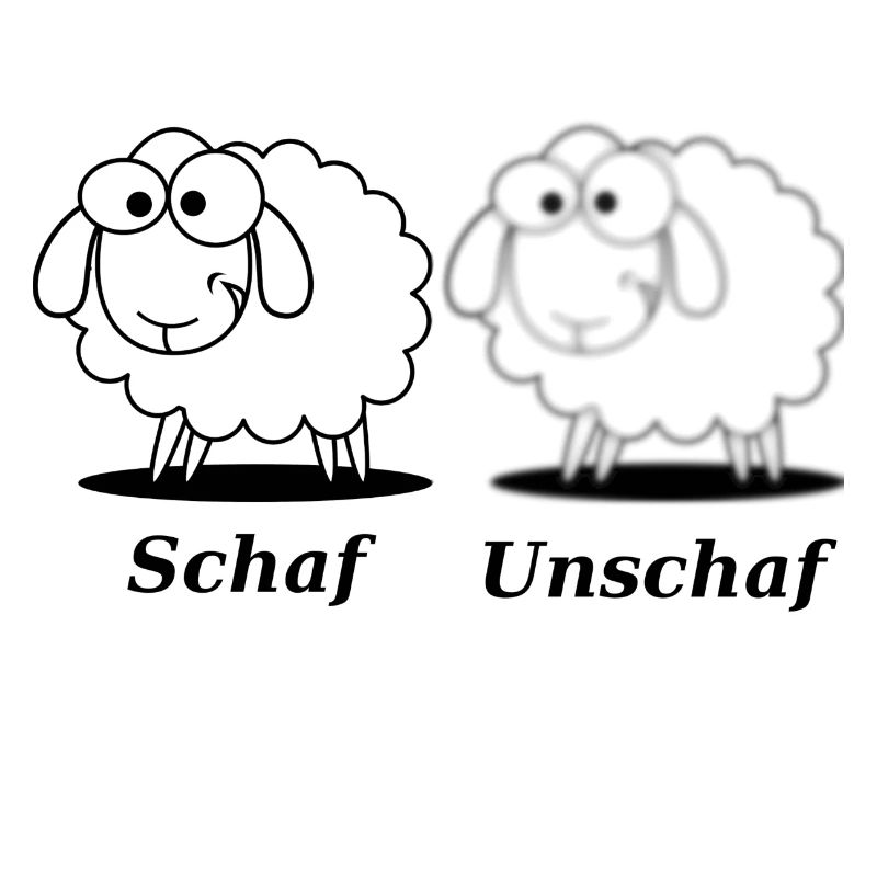 Schaf Unschaf lustiges