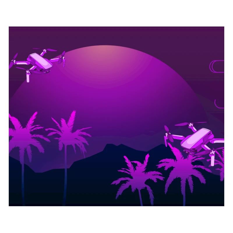 Palm Drones