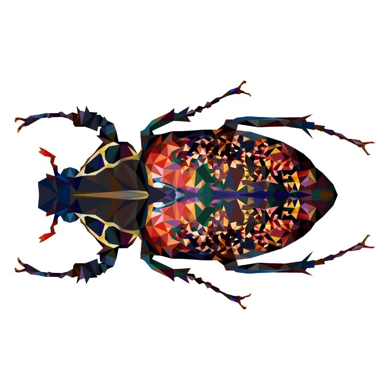 - Inka clathratus