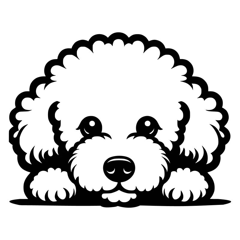 Reclining Bichon Frisé Vector Design