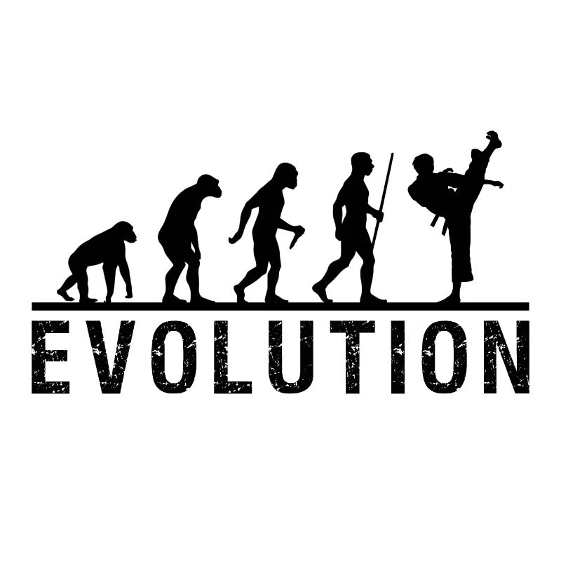 Evolutionskette von Taekwondo