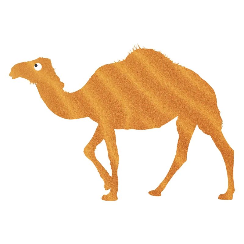 Dromedary Desert