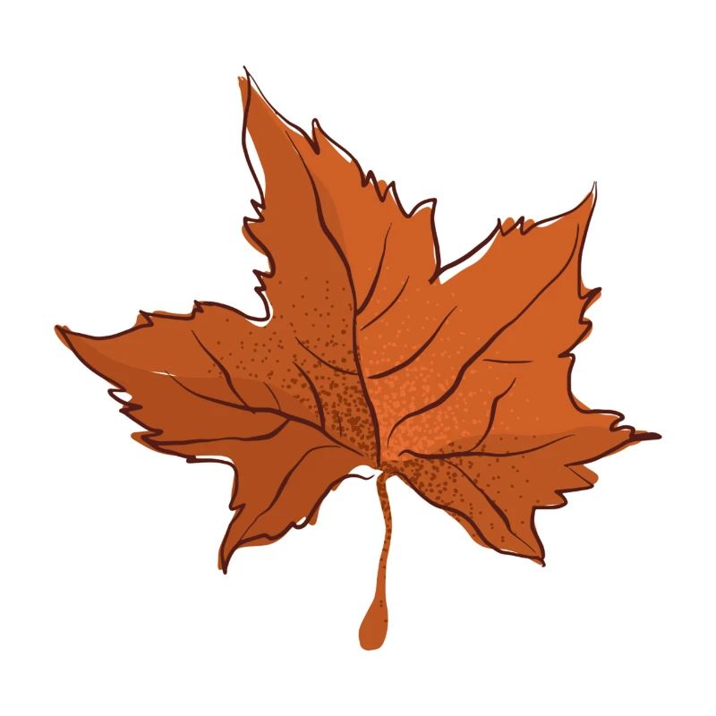 Herbstblatt Herbst Blatt