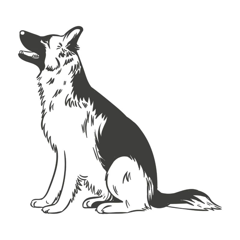 Deutscher Schäferhund
