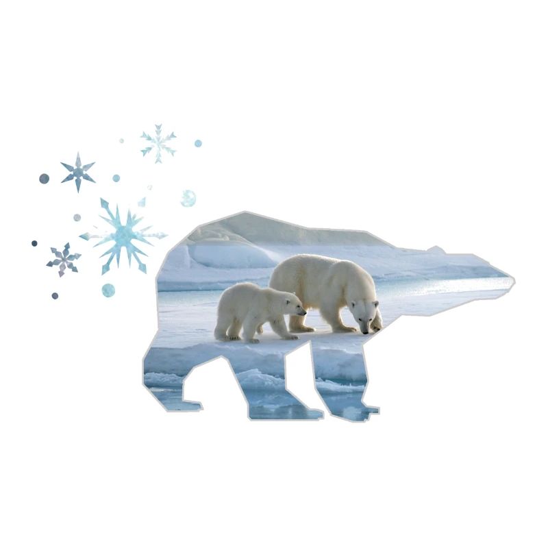 Eisbär