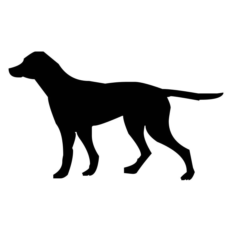 hund