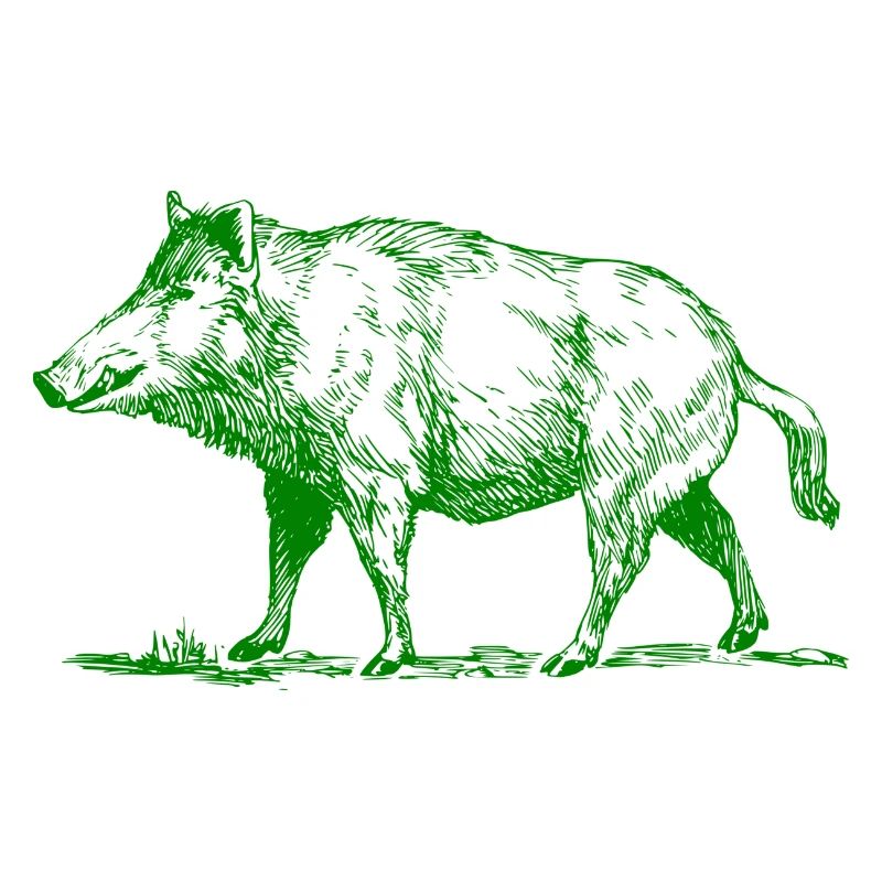 pig39