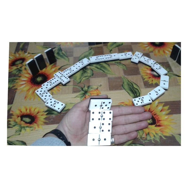 Domino