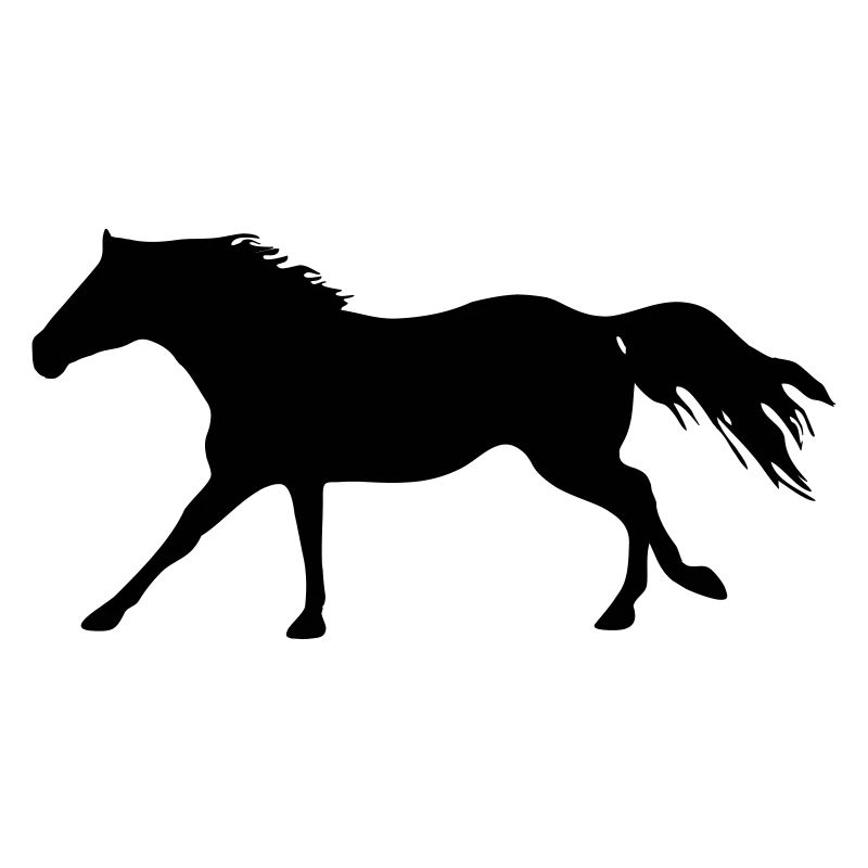 Pferd-QH-Galopp