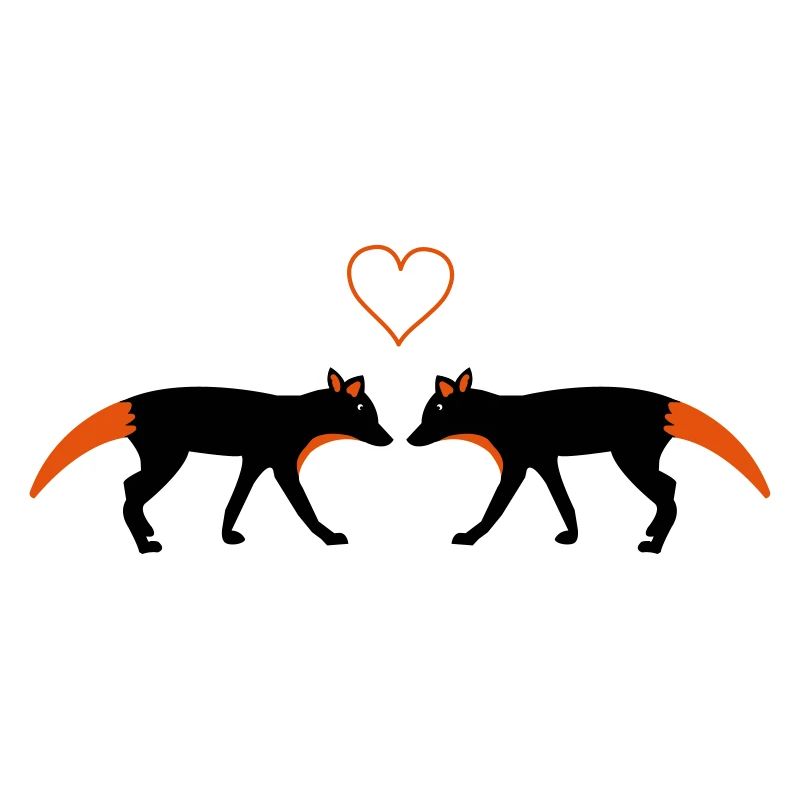 fuechse in love