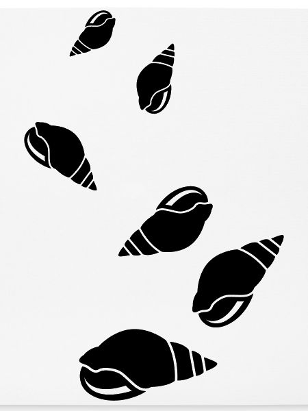 Muschel symbol