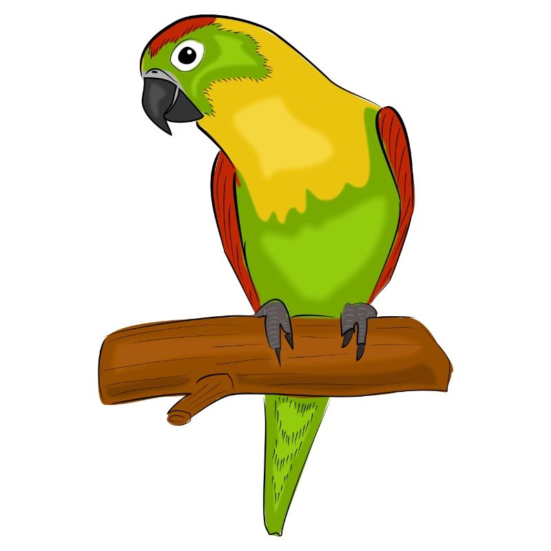 parrot
