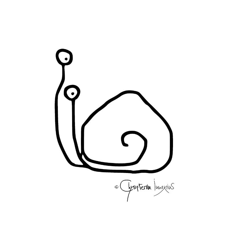 Schneckensolomeeting - Singleschnecke