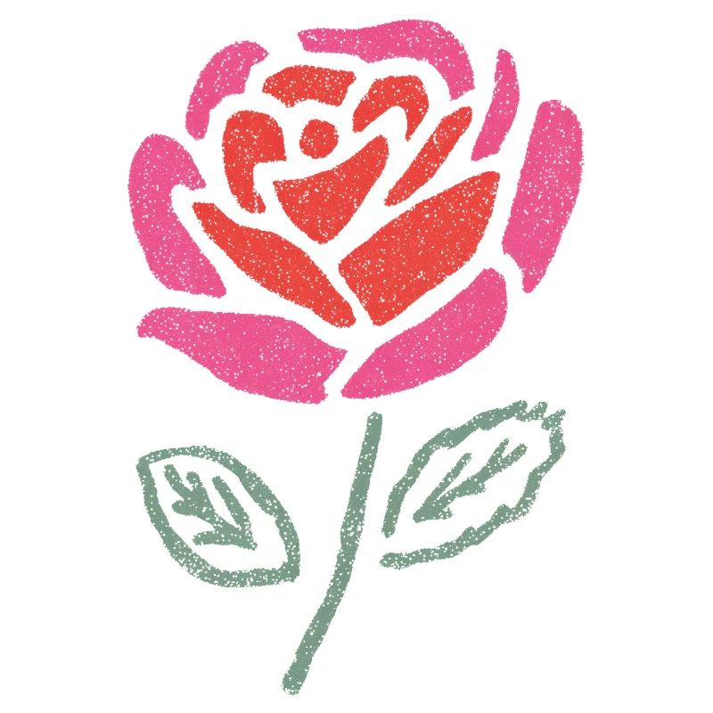 Wasserrose Farbexplosion