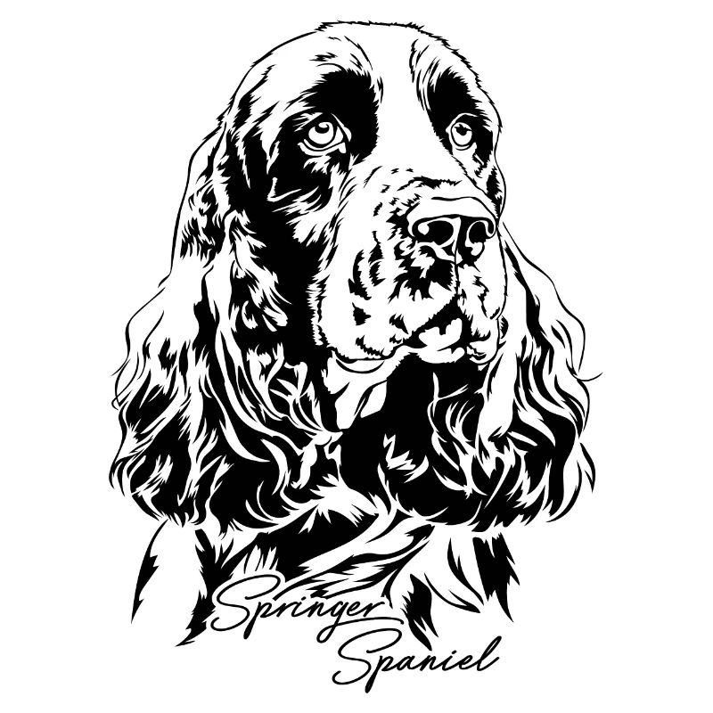 SPRINGER SPANIEL Portrait Wilsigns Hunde Jagdhunde