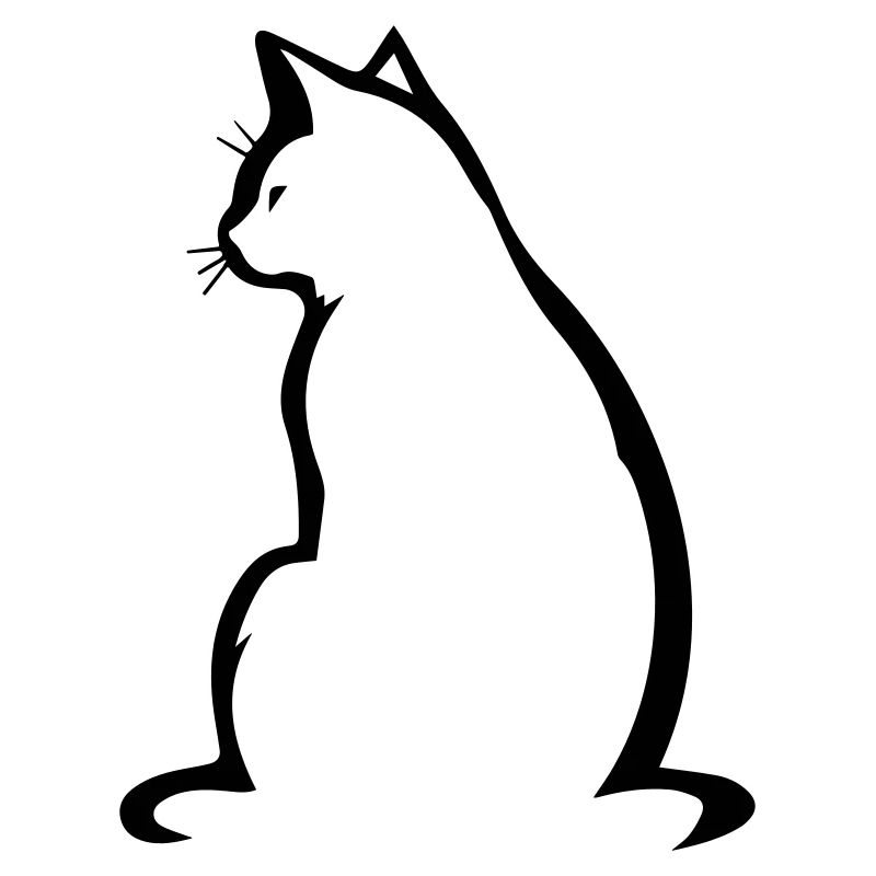 Katze