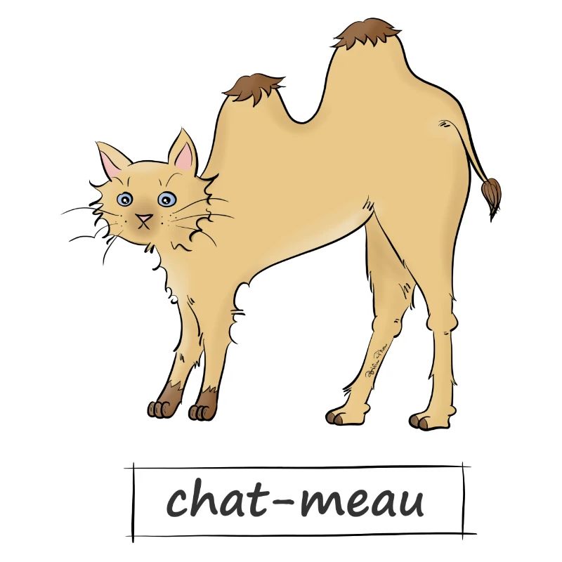 Katze meau
