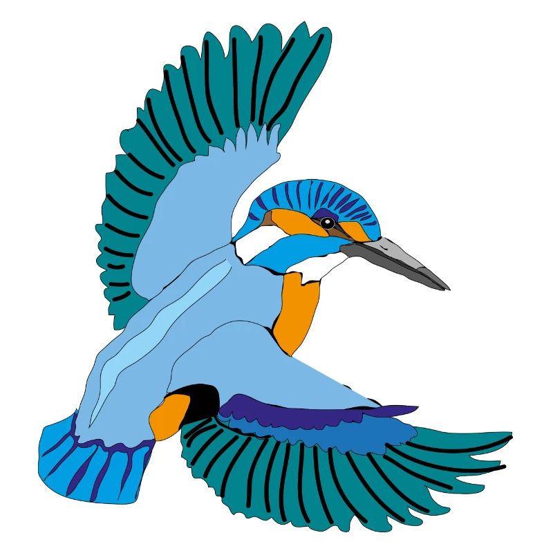 Eisvogel