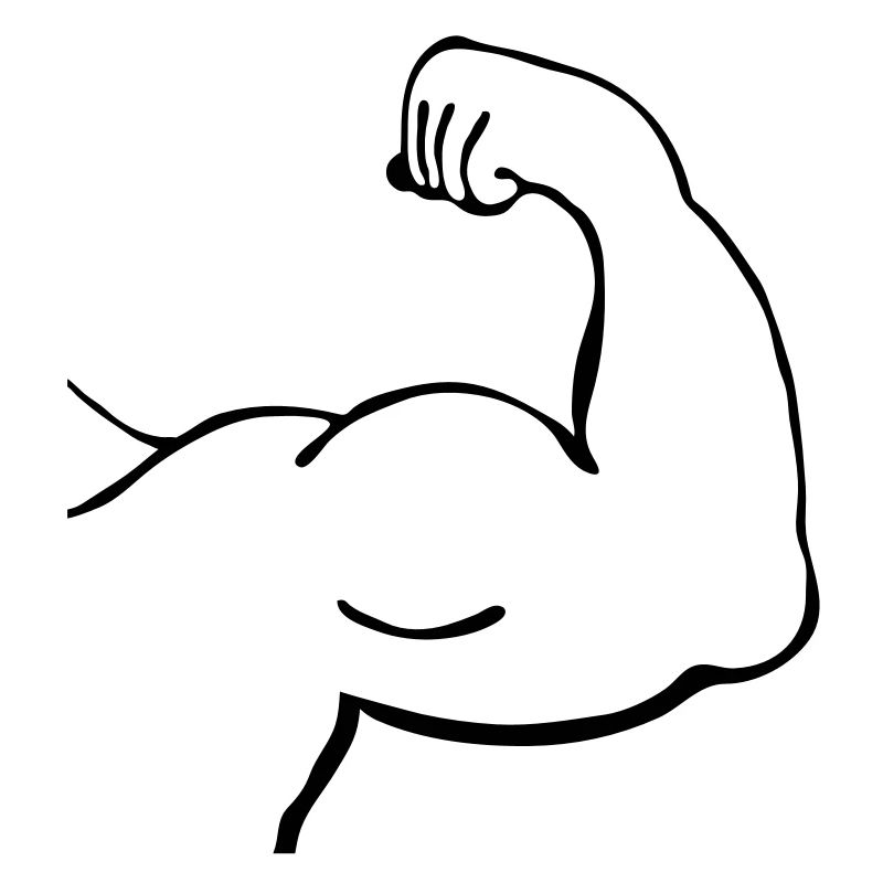 Muskeln_2_m1