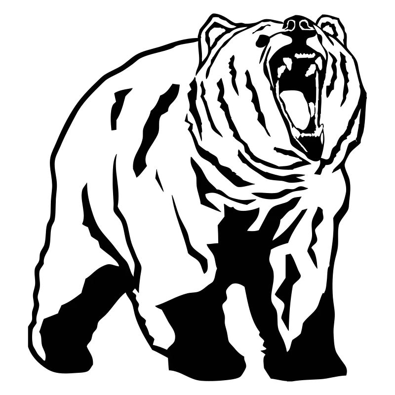Grizzly - Bear - Bär