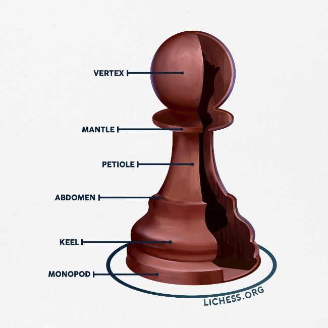 Lichess Pawn