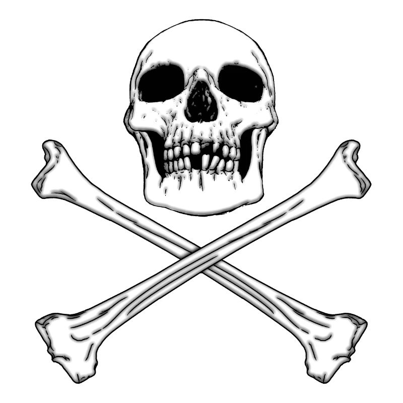 PIRATENFLAGGE