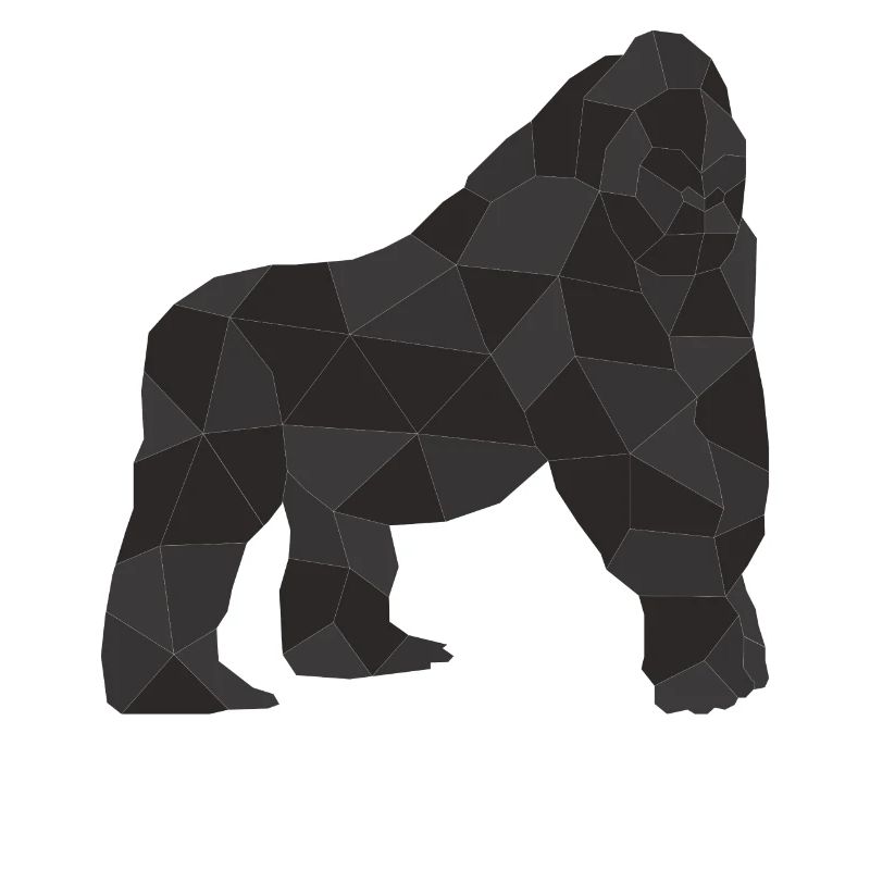 Silberrücken | Gorilla