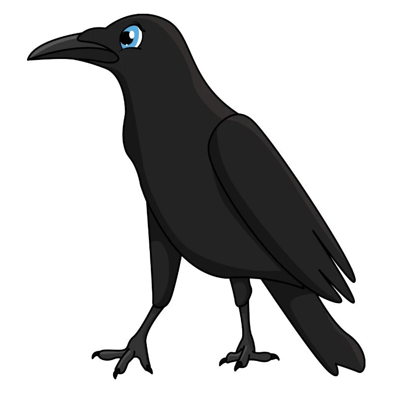 crow