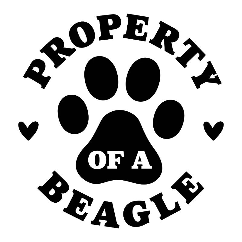 Eigentum eines Beagle