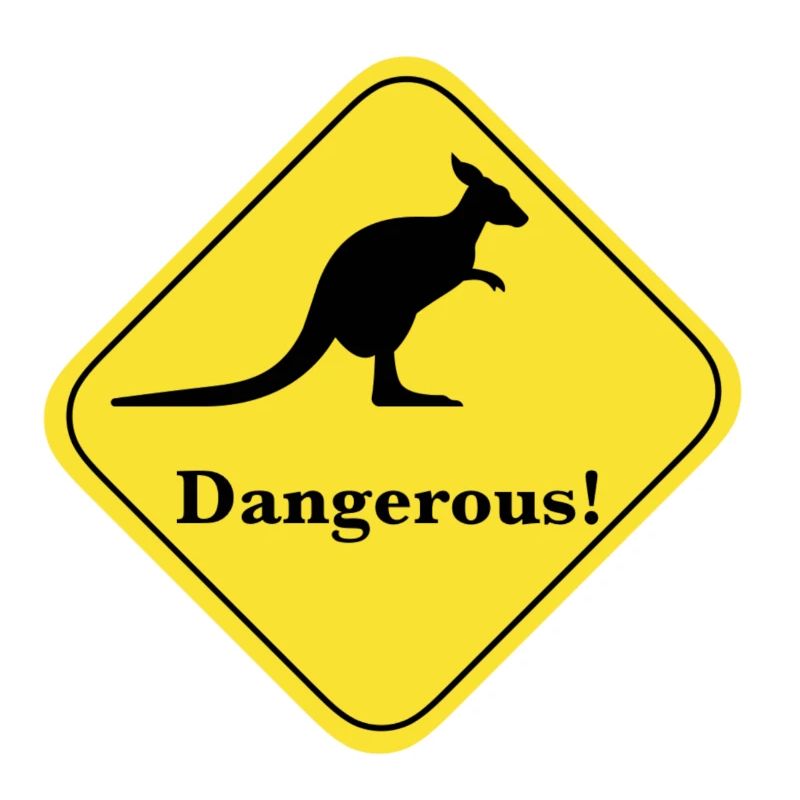 Dangerous kangaroo