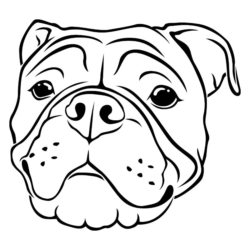 Continental Bulldog