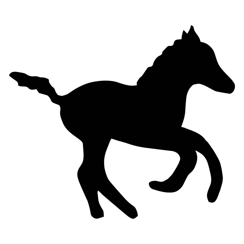 kleines süßes Fohlen