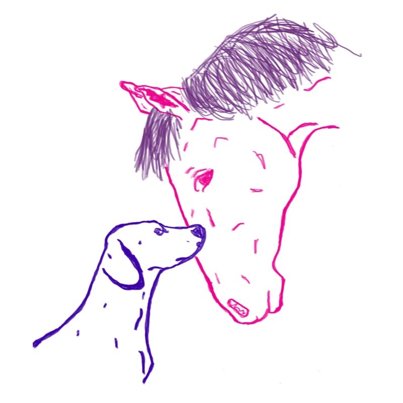 Pferd