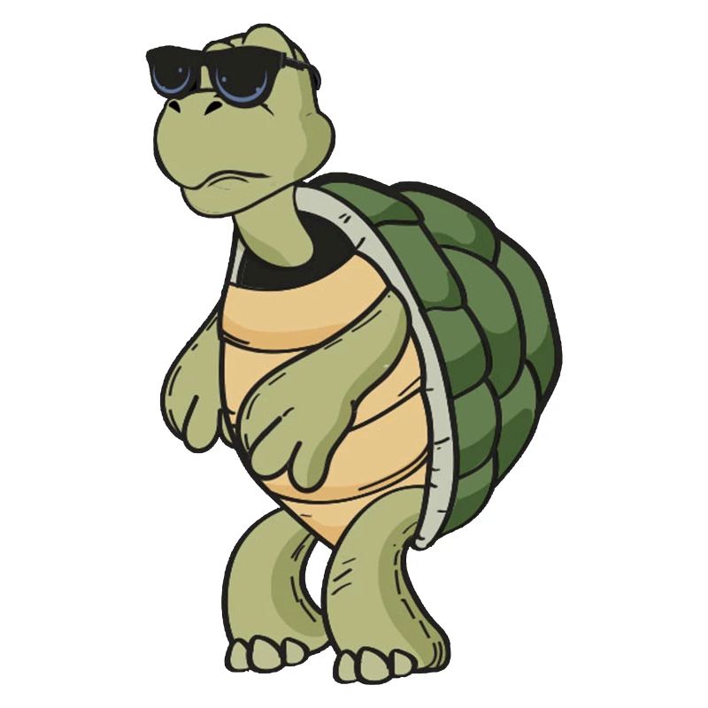 Schildkröte