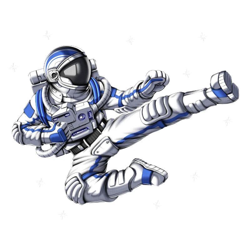 Astronaut Karate