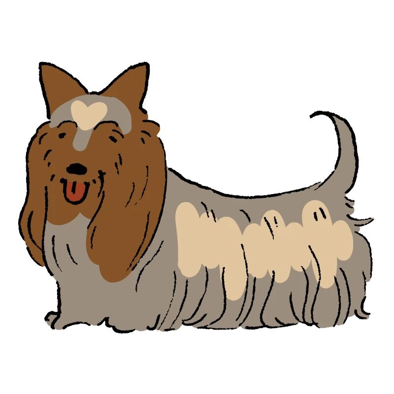 Australian Silky Terrier