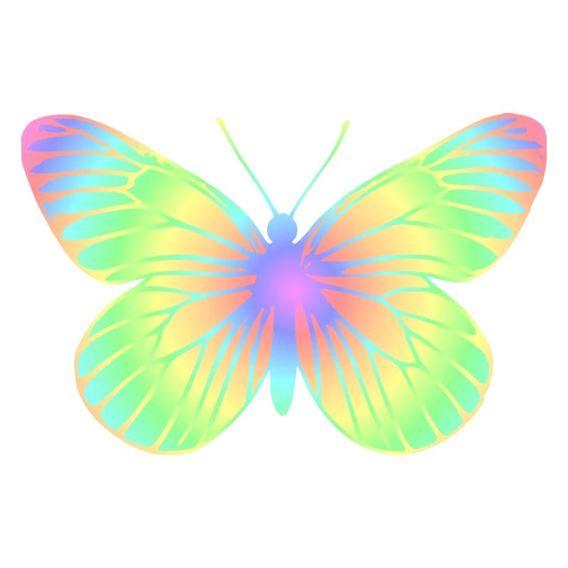 butterfly 2