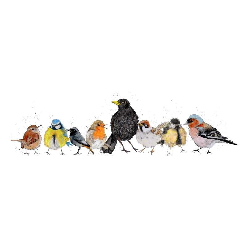 Viele heimische Vögel
