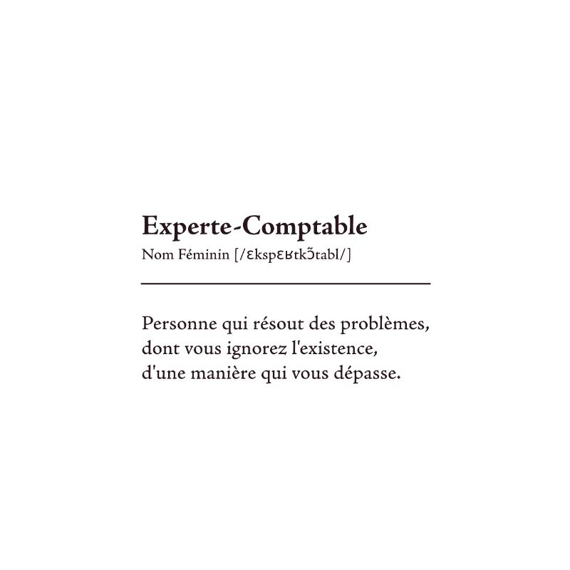 Experte Comptable Definition