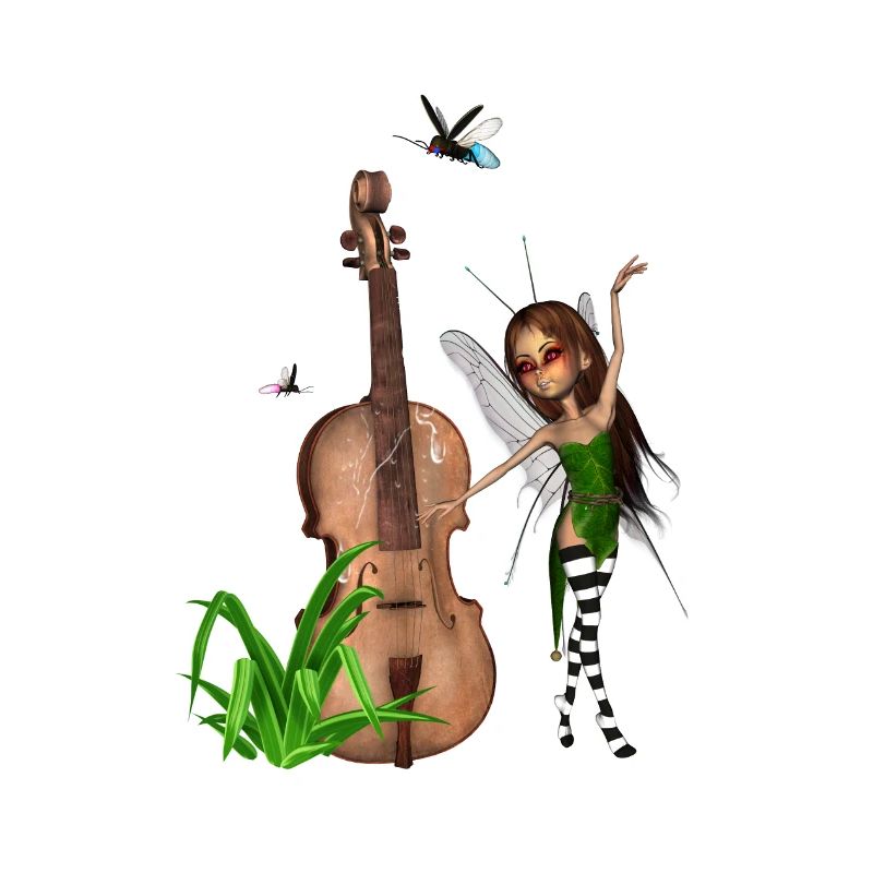 Das Wunder der Geige