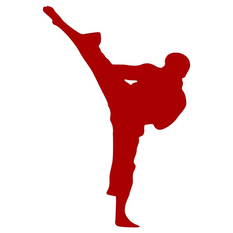 Kampfsport Karate Silhouette