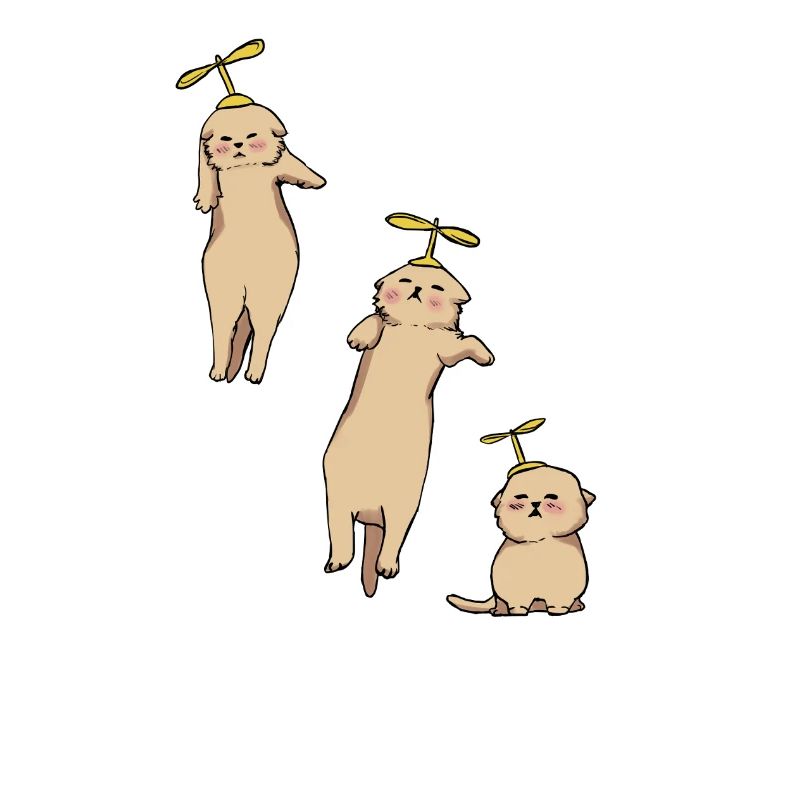 Kittens Helicopter