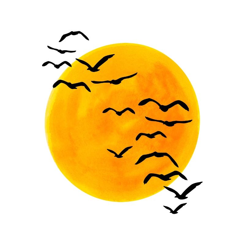 Sonnenuntergang Vogelschwarm