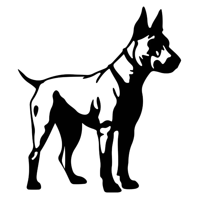 Bull Terrier Hund