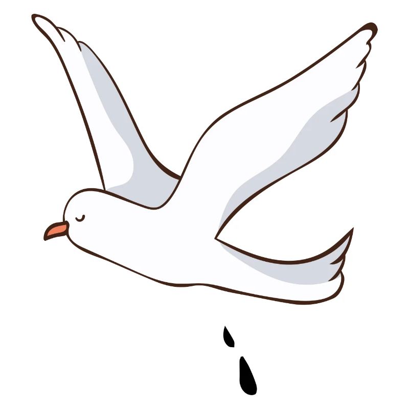 Möwe
