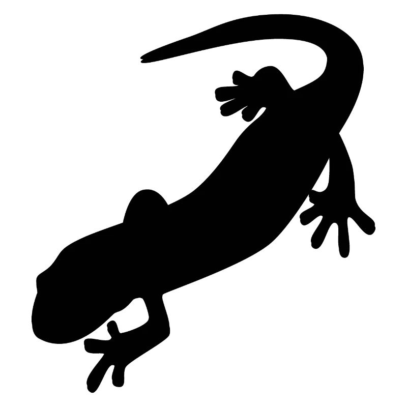 Salamander