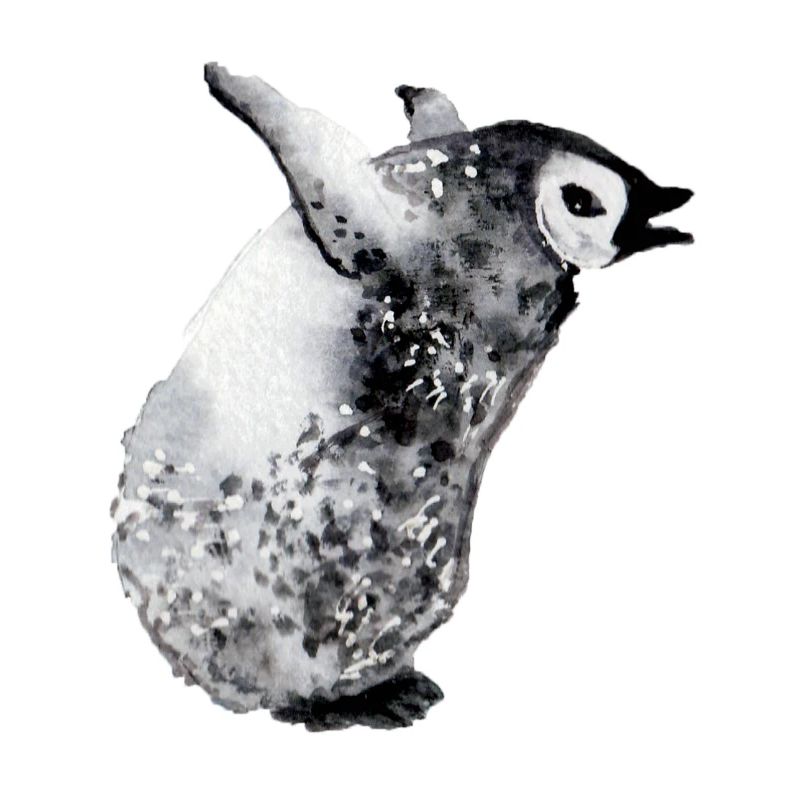 Weinender Pinguinbaby