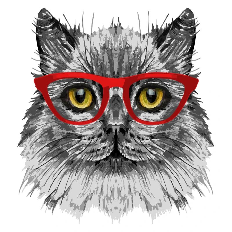 Katze