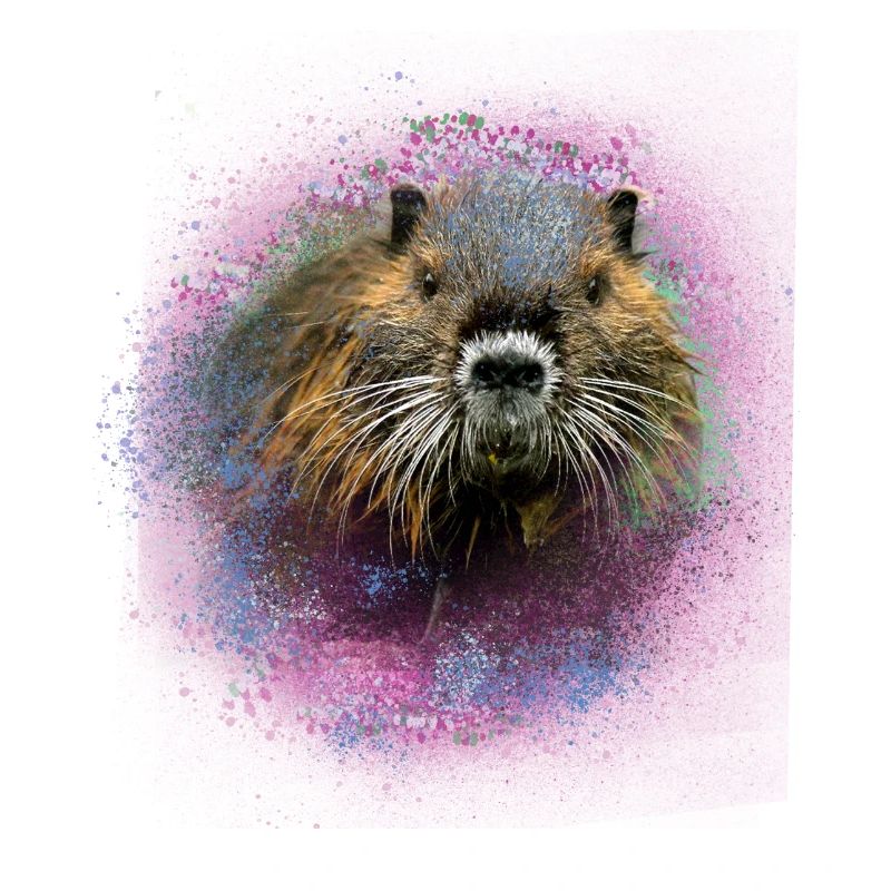 nutria,biber,tier,graffiti,pink,malerei