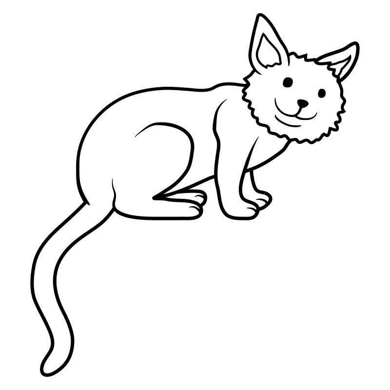 Cute dear cat sits